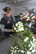bloemen en planten vvbvanbree     1166